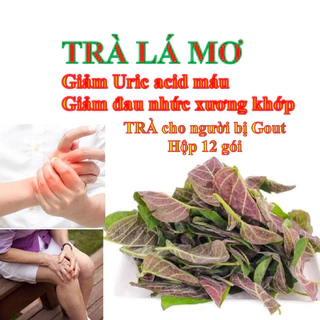 Trà lá Mơ lông tự nhiên cực tiện lợi và hiệu quả cho người bị Gout, đau nhức xương khớp, đại tràng Hộp 12 túi lọc