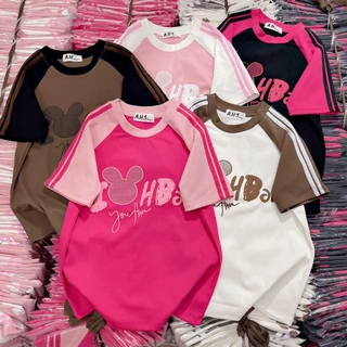 Áo thun nữ ôm body cổ tròn tay ngắn, áo thun nữ phom babytee tay raglan. Áo thun borip dáng ôm body phối tay AH mã thỏ