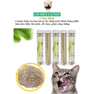 Cỏ bạc hà catnip cho mèo