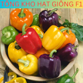 50H - Hạt giống ớt chuông, ớt ngọt ngũ sắc f1 Tổng kho hạt giống f1