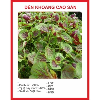 Hạt giống rau dền khoang, dền tiêu (10 gram) - dễ trồng, giàu dinh dưỡng, trồng quanh năm