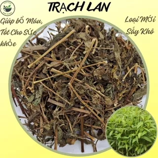 Trạch Lan( mần tưới), 100g loại khô, hàng mới, sạch đẹp, dùng nấu nước uống