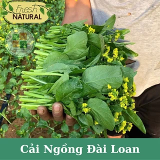 20gr Hạt giống cải ngồng Đài Loan F1.