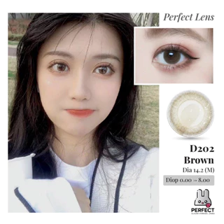 Lens Ảnh Mắt Thật, kính áp tròng D202 Brown dia 14.2, lens màu nâu tự nhiên có độ cận