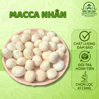 Nhân hạt macca Daklak chọn lọc kĩ lưỡng cung cấp dinh dưỡng cho mọi đối tượng đặc biệt phù hợp với mẹ bầu - NSSDL