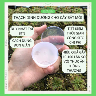 Thạch Dinh Dưỡng Cho Cây Bắt Mồi I Ba Tri Nhỏ