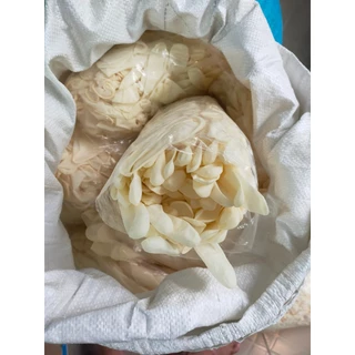 Găng tay cao su 1Kg/160 chiếc-200 chiếc tùy size, loại có bột/không bột, đa dạng sử dụng,màu trắng kem,size XS, S,M,L,XL