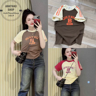 Áo thun nữ babytee cổ tròn tay ngắn. Áo thun nữ ôm body tay raglan chạy sọc. Áo thun nữ dáng ôm body AH Design