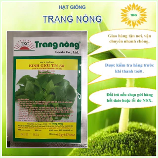 Hạt giống rau gia vị rau kinh giới Trang Nông