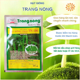 20gr Hạt giống đậu rồng Thái Trang Nông năng suất cao