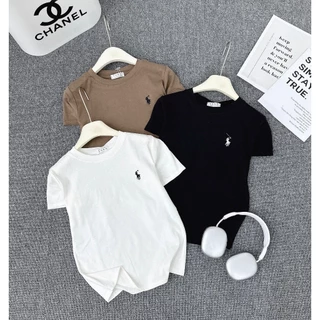 Áo thun trắng thêu ngựa POLO , áo thun cotton nữ trắng thêu cho nữ