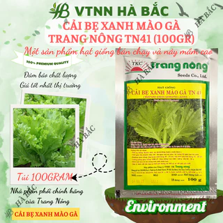 Cải Bẹ Xanh Mào Gà TN41 (100gr) Trang Nông, hạt giống nảy mầm tốt, năng suất cao, trông quanh năm - Hạt giống Hà Bắc