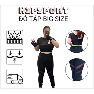 (Có Bigsize 90kg)Set dài tập Gym Yoga bigsize áo croptop phối lưới quần dài thun lạnh mềm mịn co dãn