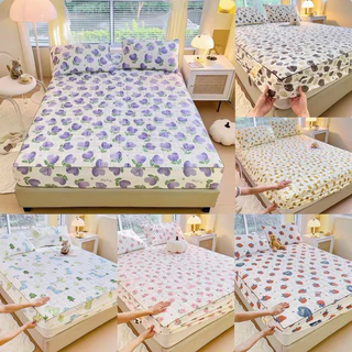 Bộ ga gối 3 món trần bông cotton đũi sơ đậu lành ,ga gối dầy dặn thoáng mát từ full size 1m2-2m