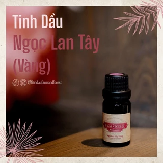 Tinh Dầu Ngọc Lan Tây Vàng 10ml, Tinh Dầu Thiên Nhiên Nguyên Chất, Farm & Forest, Làm Thơm Phòng, Lãng Mạn, Quà Tặng