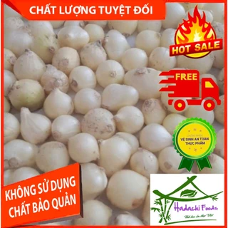 Hành tăm(củ nén) Hà Tĩnh nhà trồng,củ đều,thơm.trắng,sạch 500gr-1kg