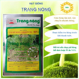 Hạt giống cải Mỹ cải xoăn kale Trang Nông gói 10g