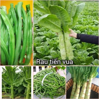 Hạt Giống Rau Tiến Vua Chịu Nhiệt ( 10.000 Hạt )