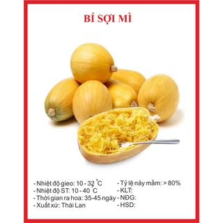 Hạt giống bí sợi mì (1 gram) - thơm ngon, giòn ngọt, chịu nhiệt tốt