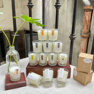 [Candle Cup] Nến Candle Cup Mini