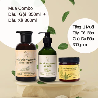 [Tặng Muối Tẩy Tế Bào Chết Da Đầu 300gram] Cặp Gội Xả Ngải Cứu - Bơ Bưởi Sạch Gàu, Ngứa, Tóc Mềm Mượt