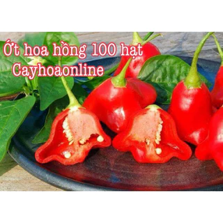 Hạt giống ớt hoa hồng (ớt phật thủ) gói 100 hạt