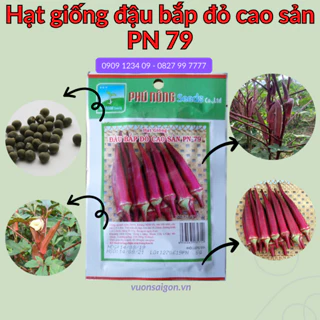 Hạt Giống Đậu Bắp Đỏ Phú Nông hạt giống chắc khỏe, tỉ lệ nẩy mầm >95% (Vườn Sài Gòn - Vuon Sai Gon)