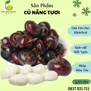 Củ Năng/ Củ Mã Thầy tươi chưa gọt vỏ 250g/500g/1kg - hút chân không (ship hoả tốc HCM)