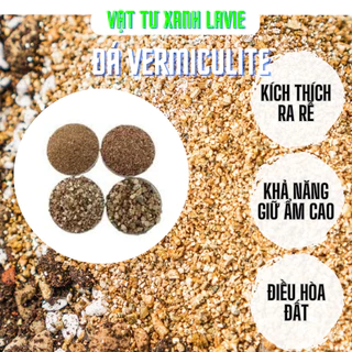 Đá Vermiculite dùng trộn giá thể sen đá, bonsai, xương rồng, kiểng lá, cây cảnh, ươm hạt giống