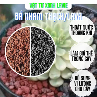 Đá Lava (Đá nham thạch Đỏ/ Đen) dùng trộn giá thể, rải gốc, trồng sen đá, xương rồng, bonsai, bể thủy sinh...