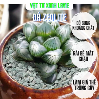 Đá Zeolite Cực Phẩm - Đá khoáng - Đá rải bề mặt, trộn giá thể sen đá, xương rồng, bon sai, cây cảnh, kiểng lá