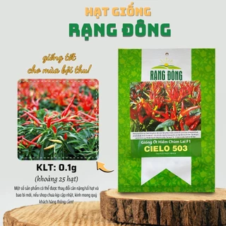 Hạt giống Ớt Hiểm Chùm Lai F1 Cielo 503 (0,1g~25 hạt) chịu nhiệt tốt, năng suất cao, dễ chăm sóc - Hạt giống Rạng Đông