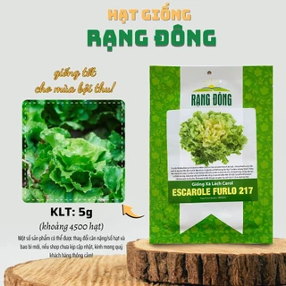 Hạt giống Xà Lách Carol Escarole Furlo 217 (5g~4500 hạt) dễ chăm sóc, năng suất, trồng quanh năm - Hạt giống Rạng Đông