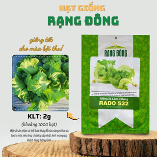 Hạt giống Xà Lách Iceberg Rado 532 (2g~1000 hạt) nảy mầm tốt, dễ chăm sóc, trồng quanh năm - Hạt giống Rạng Đông