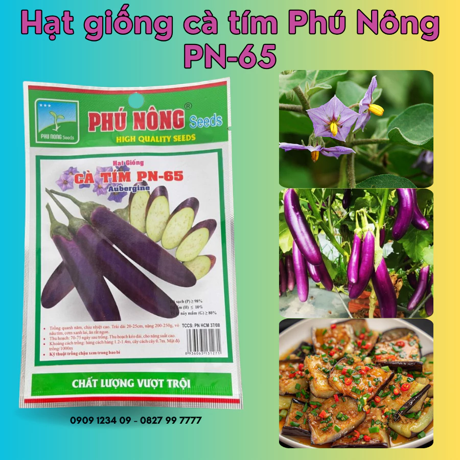 Hạt giống Cà Tím Phú Nông pn-65 (Vườn Sài Gòn - Vuon Sai Gon)hạt giống chắc khỏe, tỉ lệ nẩy mầm cao