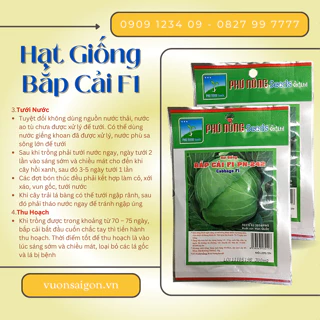 Hạt Giống Bắp Cải F1 Phú Nông (Green City) hạt giống chắc khỏe, tỉ lệ nẩy mầm cao