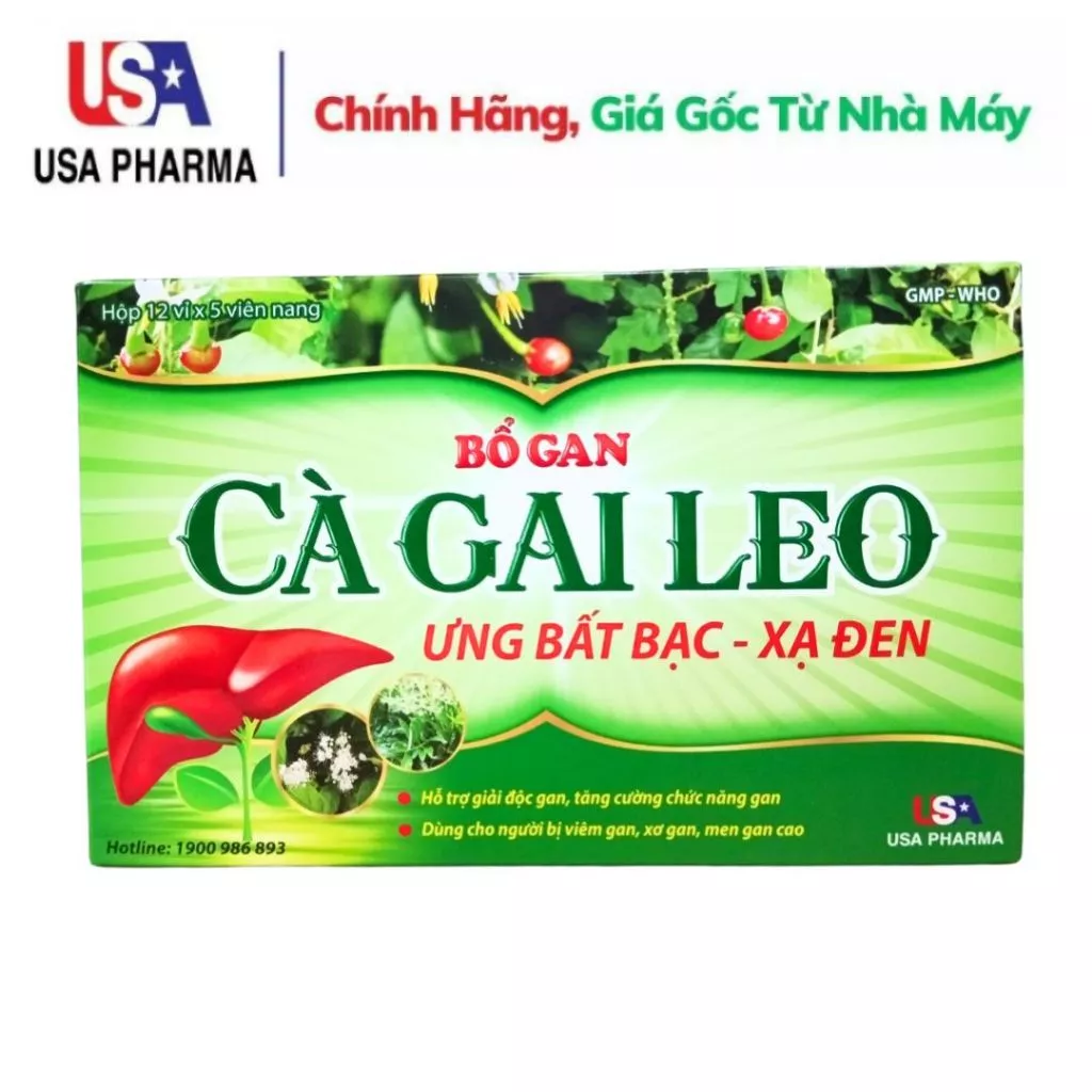 Bổ gan Cà Gai Leo Ưng Bất Bạc Xạ Đen - Hộp 12 vỉ x 5 viên nang