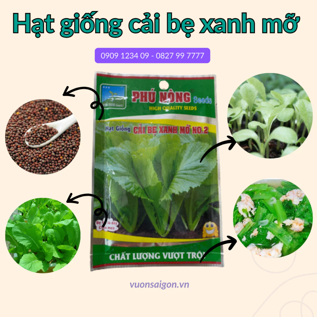 Hạt giống cải bẹ xanh Leaf Mustard Phú Nông (20gr) hạt giống chắc khỏe, tỉ lệ nẩy mầm >95% (Vườn Sài Gòn - Vuon Sai Gon)