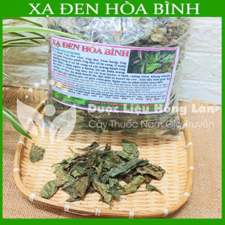 Xạ đen Hoà Bình (cả thân và lá, vụ mới xanh thơm) mát gan giải nhiệt, ngủ ngon, tiêu u bướu