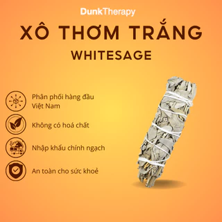 Bó Xô thơm trắng (White Sage) đốt thơm nhà, thanh tẩy và thu hút may mắn