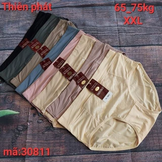 Quần lót thun lạnh phối gấm hoa Thiên phát bigsize XXL 65_75KG cao cấp(cạp cao)