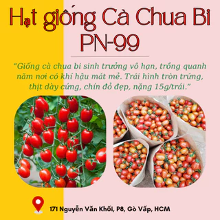 Hạt giống Cà Chua Bi Phú Nông (Vườn Sài Gòn - Vuon Sai Gon) hạt giống chắc khỏe tỉ lệ nẩy mầm cao