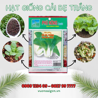 Hạt Giống Cải Bẹ Trắng Phú Nông hạt giống chắc khỏe, tỉ lệ nẩy mầm >95% (Vườn Sài Gòn - Vuon Sai Gon)