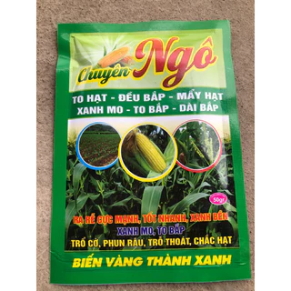 chuyên ngô