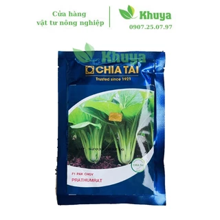 Hạt giống Cải Ngọt Chia Tai 50gr Thái Lan