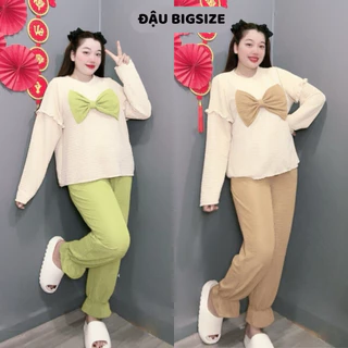 Set đồ bigsize nữ tay dài kèm nơ trước áo quần dài bo chun cách điệu dưới chất mềm mịn - SET900