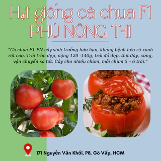 Hạt giống cà chua F1 Phú Nông (Vườn Sài Gòn - Vuon Sai Gon) hạt chắc khỏe tỉ lệ nẩy mầm cao