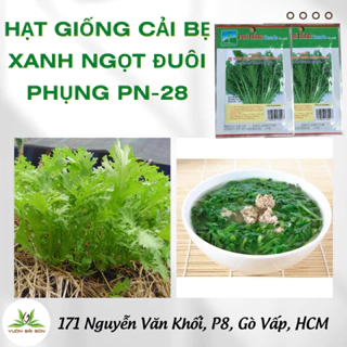 Hạt giống cải đuôi phụng Phú Nông 28 (Vườn Sài Gòn - Vuon Sai Gon) hạt chắc khỏe tỉ lệ nẩy mầm cao