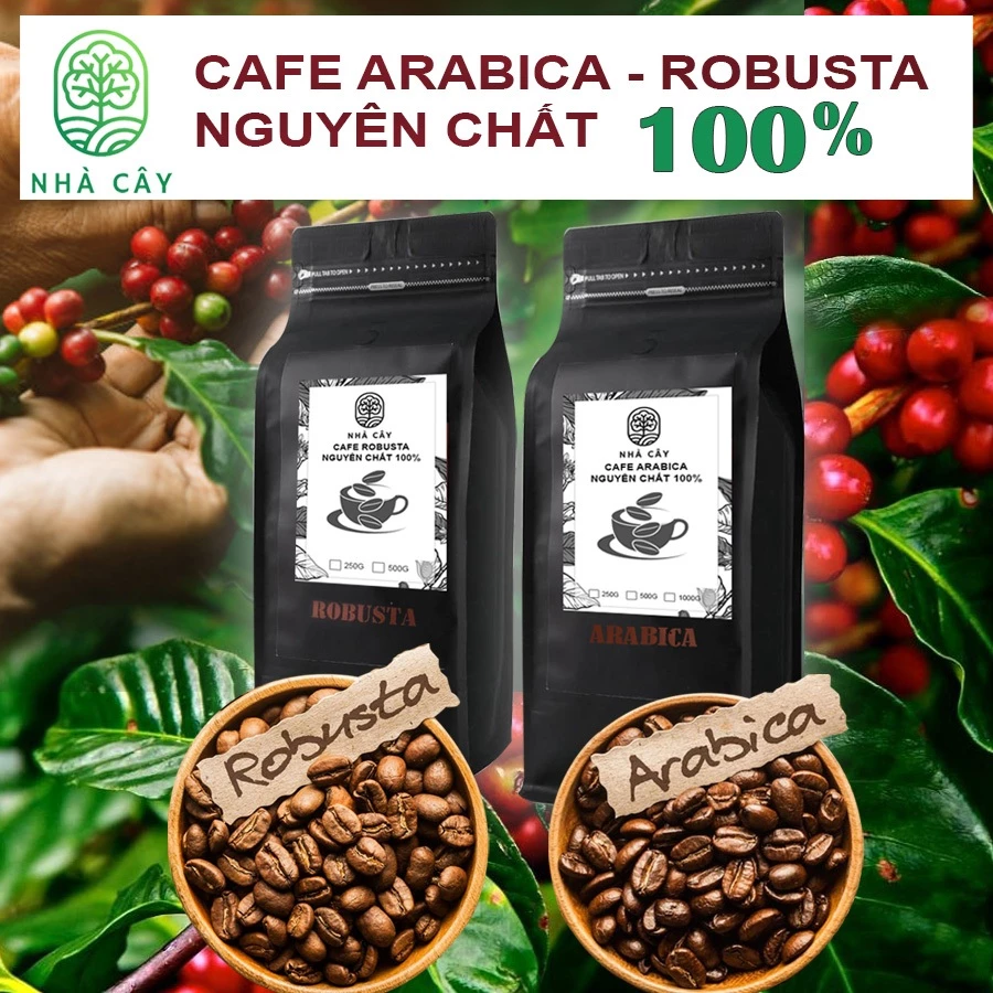 Cà Phê Arabica - Robusta nguyên chất