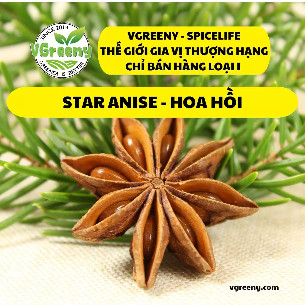 [50G - 100G] HOA HỒI KHÔ LOẠI THƯỢNG HẠNG (TO, ĐẸP, THƠM) - THẢO MỘC NẤU ĂN - GIA VỊ TÂY - ĐỒ ƯỚP BBQ